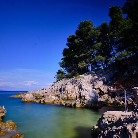 Vila Vita Donje Selo na Šolti エクステリア 写真