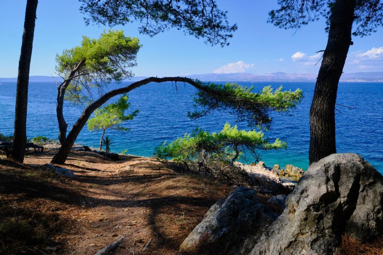 Vila Vita Donje Selo na Šolti エクステリア 写真