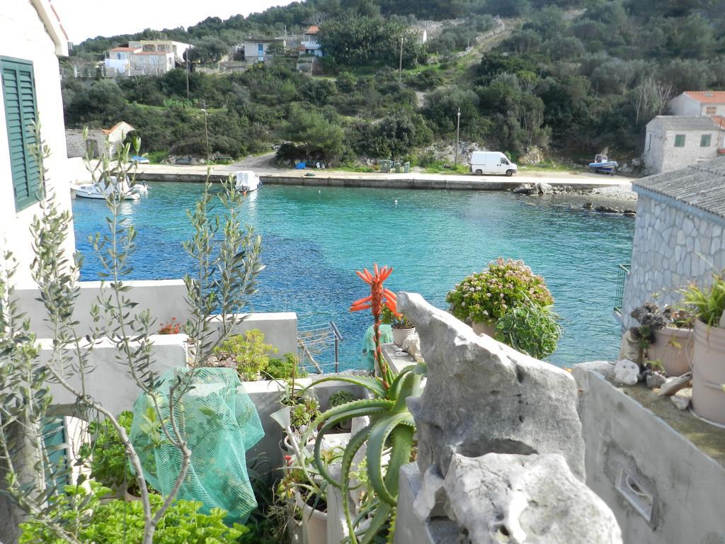 Vila Vita Donje Selo na Šolti エクステリア 写真