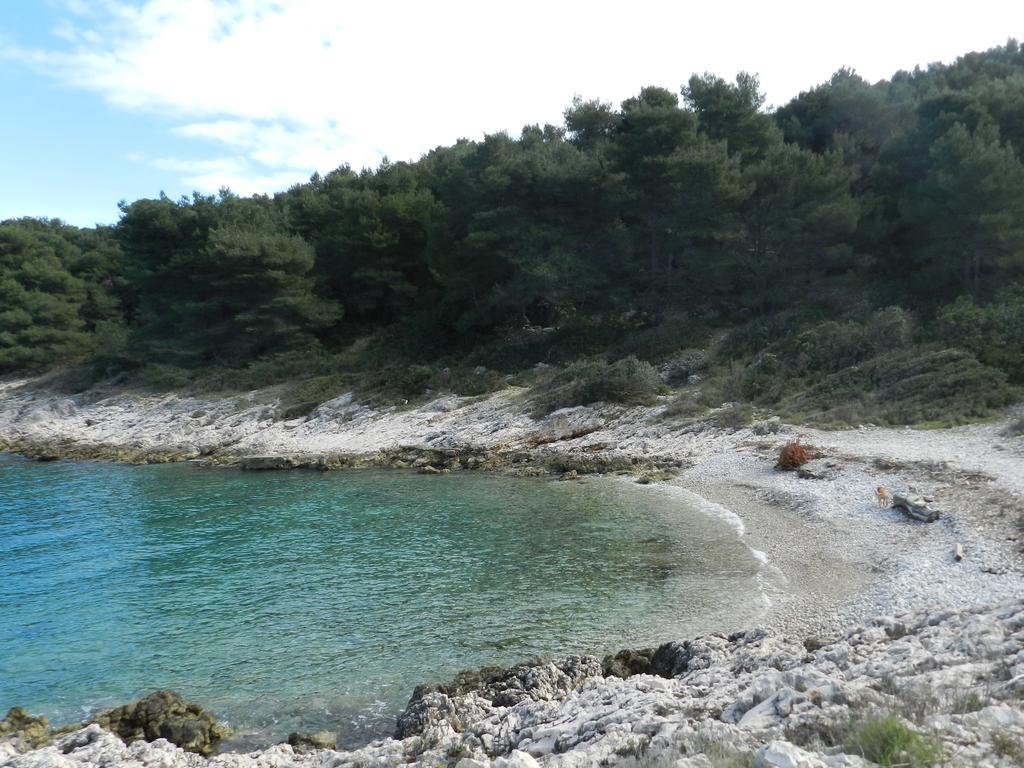 Vila Vita Donje Selo na Šolti エクステリア 写真