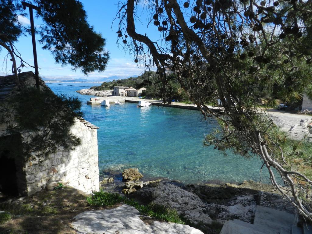 Vila Vita Donje Selo na Šolti エクステリア 写真