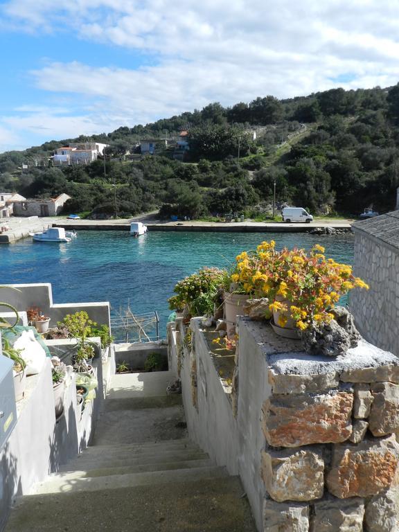 Vila Vita Donje Selo na Šolti エクステリア 写真